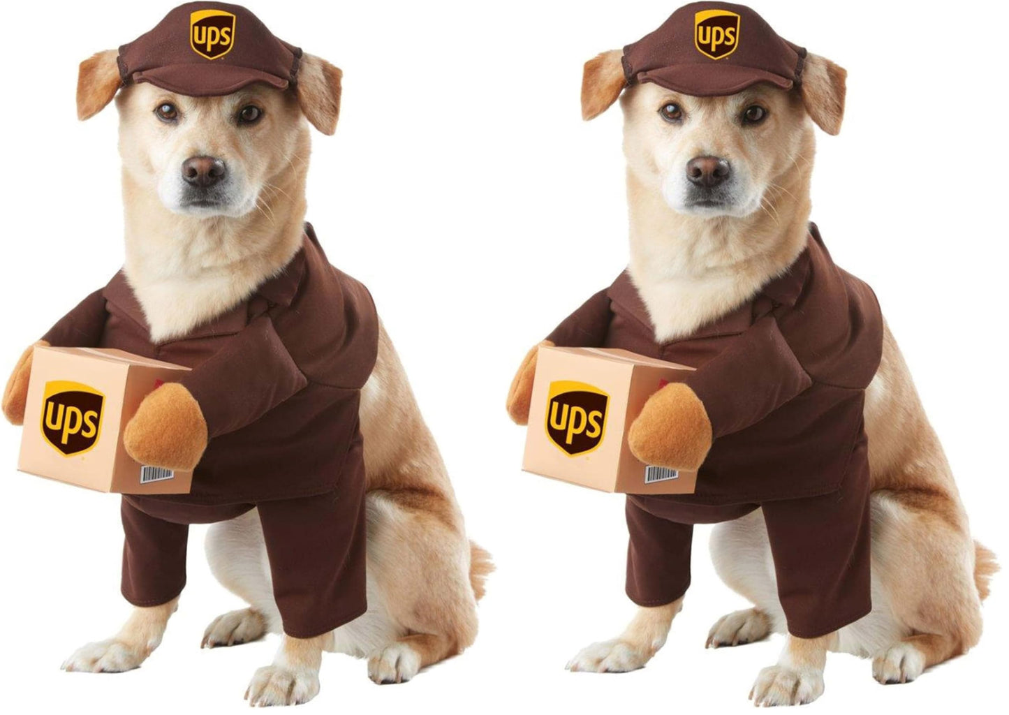 UPS Pal, Dog Costume, Large