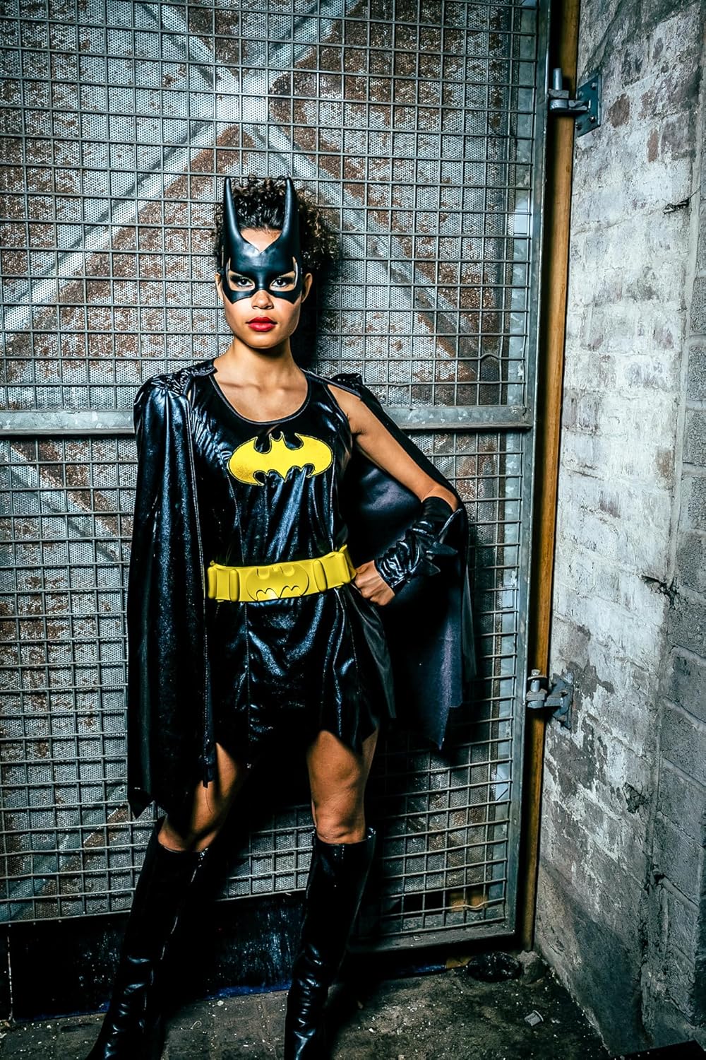 Rubies DC Comics Superheroes: Batgirl Costume Dress for Adults
