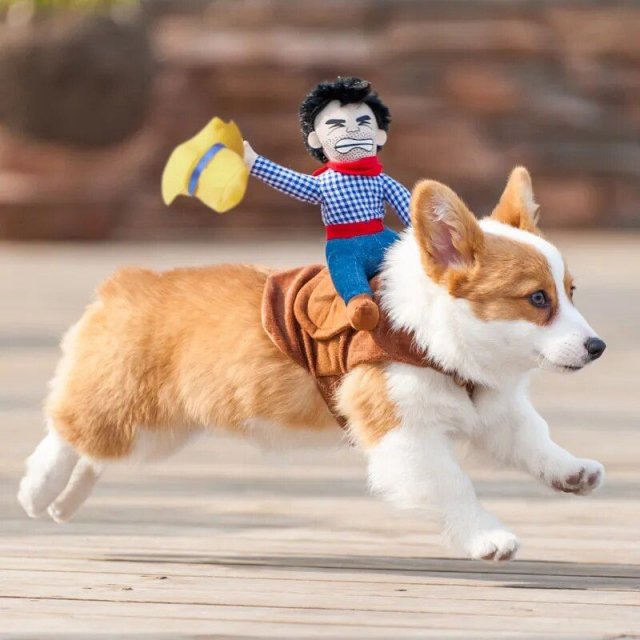 Cowboy Rider Dog Costume - view 3