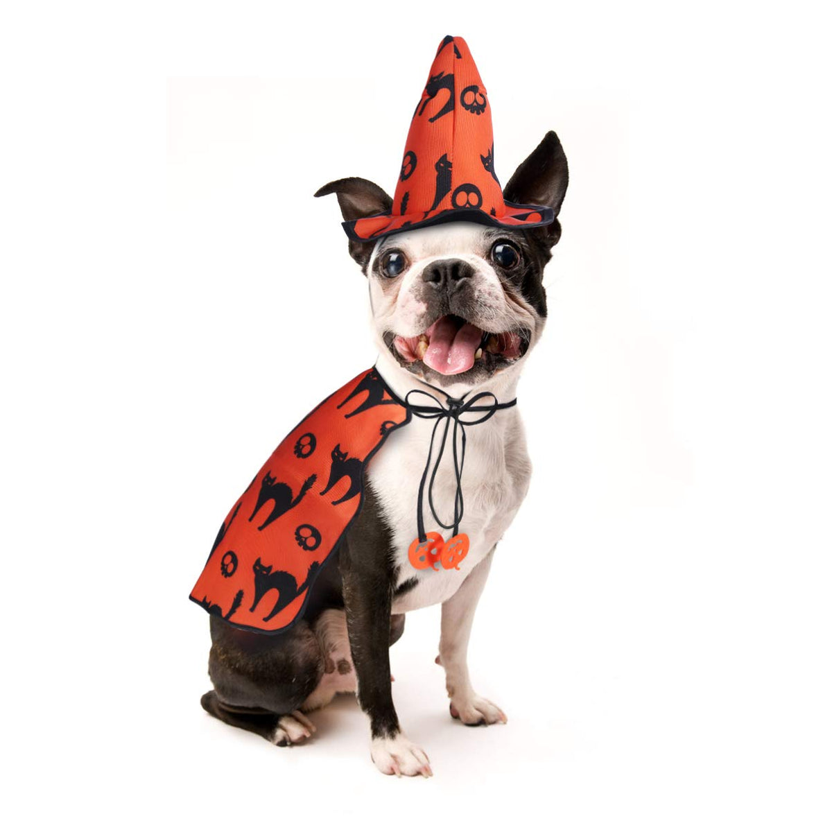 Dog Witch Cape and Hat Costume Set - view 3