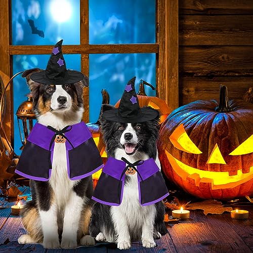 Dog Witch Cape and Hat Costume Set - view 1