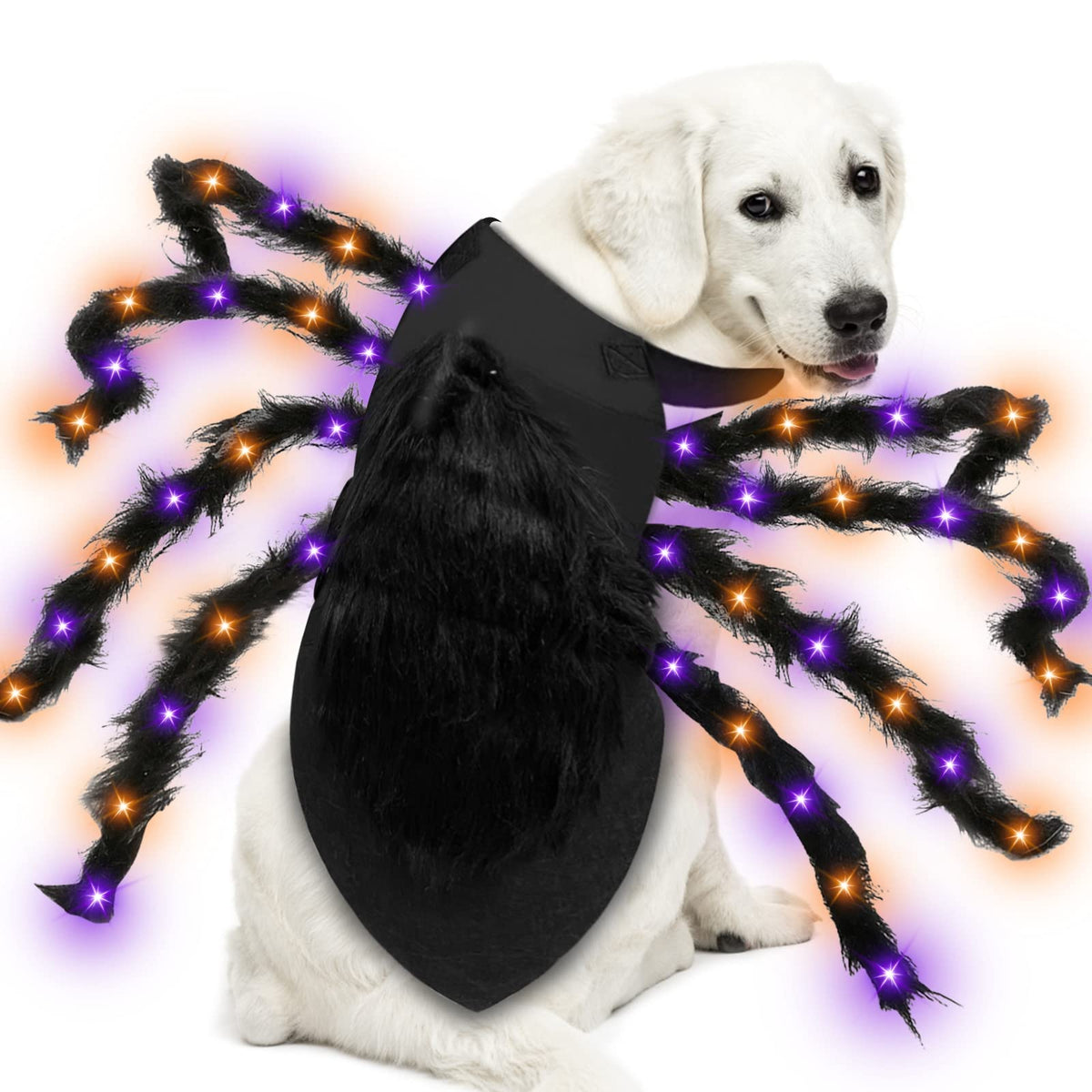 LED Light-Up Spider Dog Costume - view 1