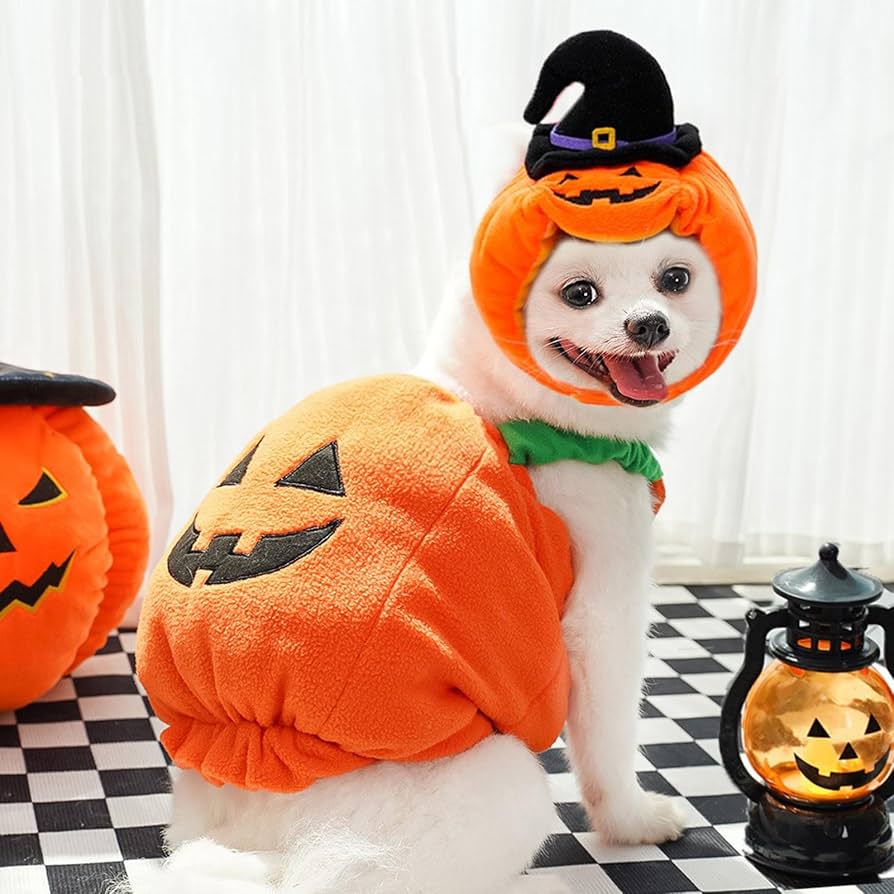 Dog Pumpkin Halloween Costume - view 4