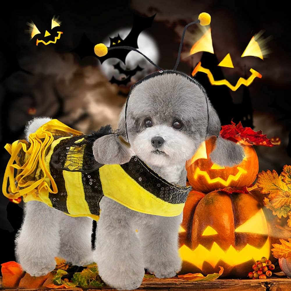 Dog Bumble Bee Halloween Costume - view 2