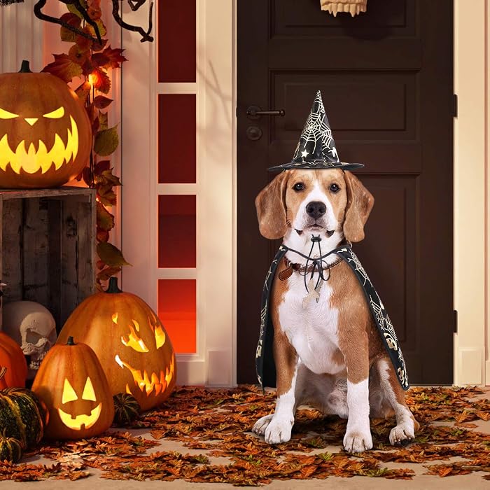 Dog Witch Cape and Hat Costume Set - view 2
