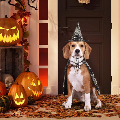 Dog Witch Cape and Hat Costume Set - view 2