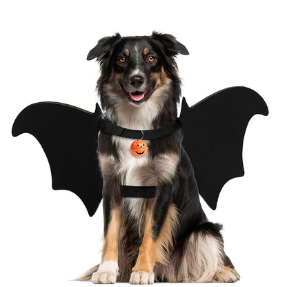 Dog Bat Wings Halloween Costume - view 1