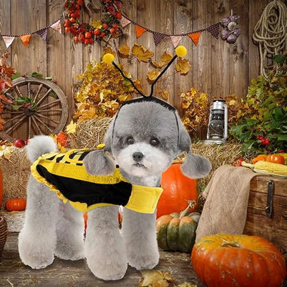 Dog Bumble Bee Halloween Costume - view 1