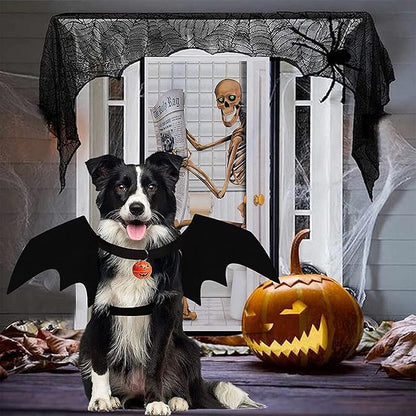 Dog Bat Wings Halloween Costume - view 2