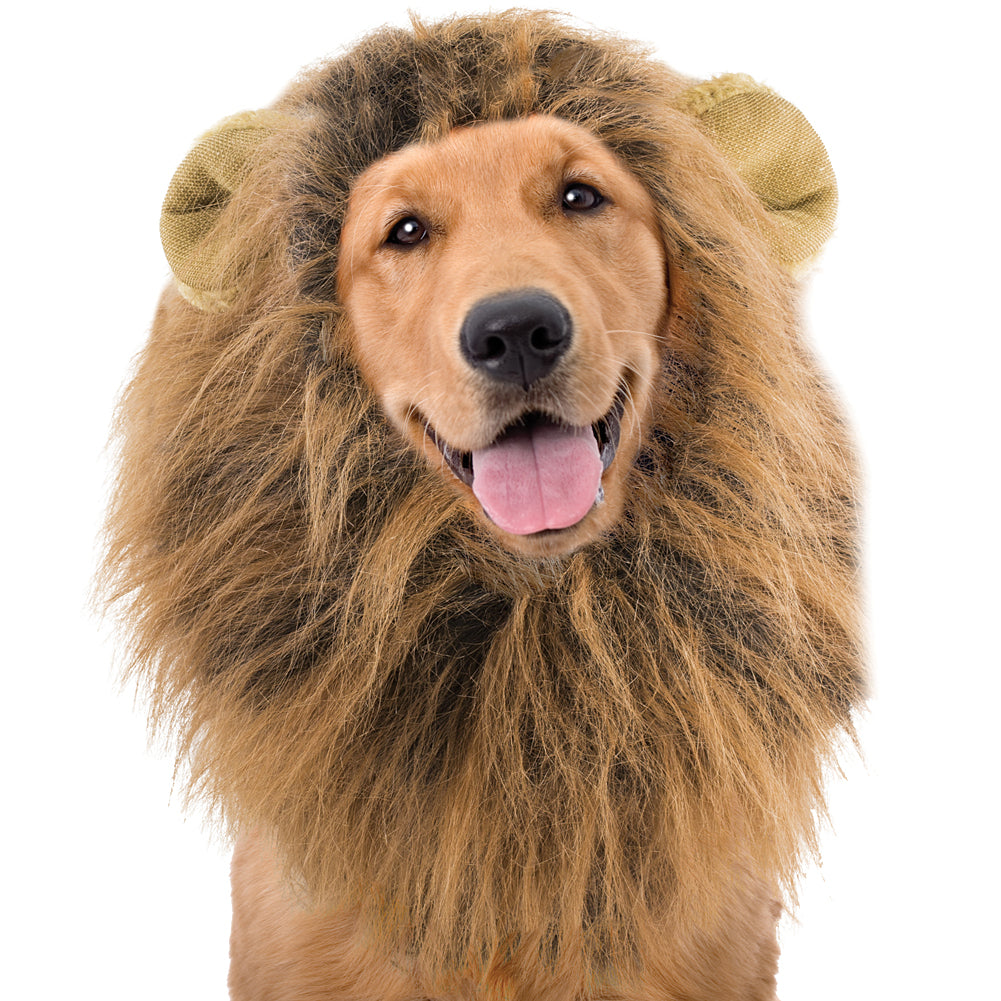 Lion Mane Wig for Dogs - view 1