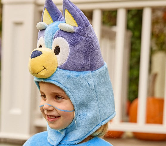 Bluey costume for children