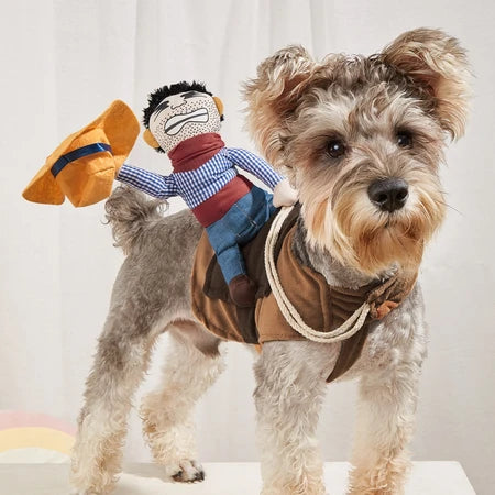 Cowboy Rider Dog Costume - view 1
