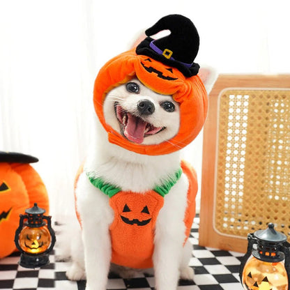 Dog Pumpkin Halloween Costume - view 2