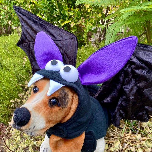 Dog Bat Wings Halloween Costume - view 3