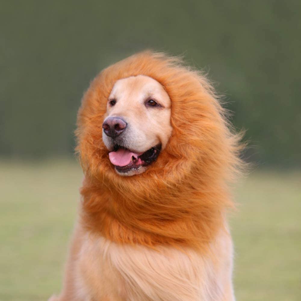 Lion Mane Wig for Dogs - view 3
