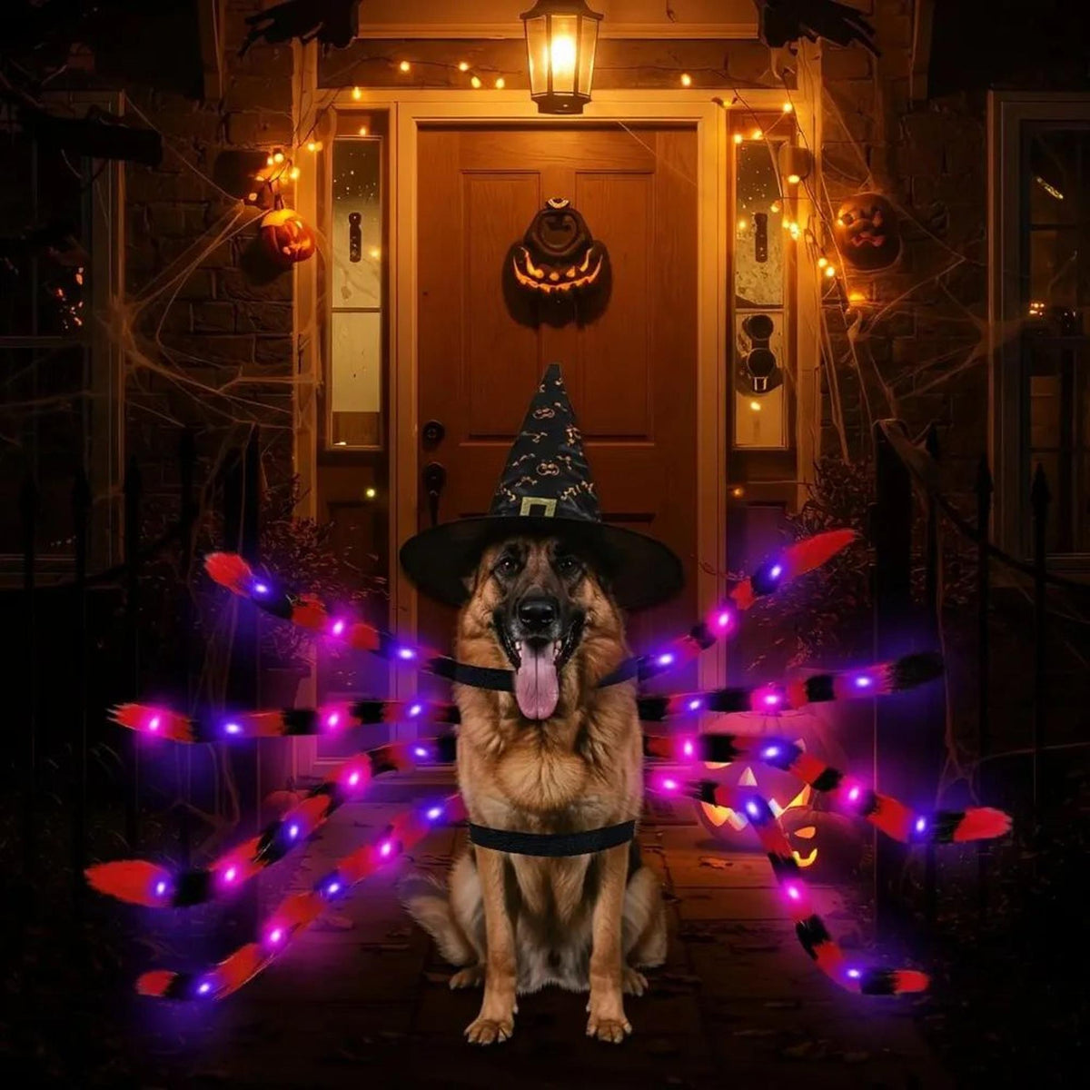 LED Light-Up Spider Dog Costume - view 2